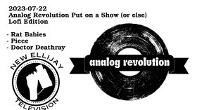 2023-07-22 - Analog Revolution Put on a Show (or else) - Lofi - Rat Babies - Piece - Doctor Deathray by Analog Revolution