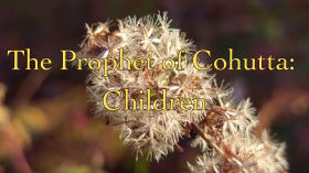 The Prophet of Cohutta: Children by Slow TV